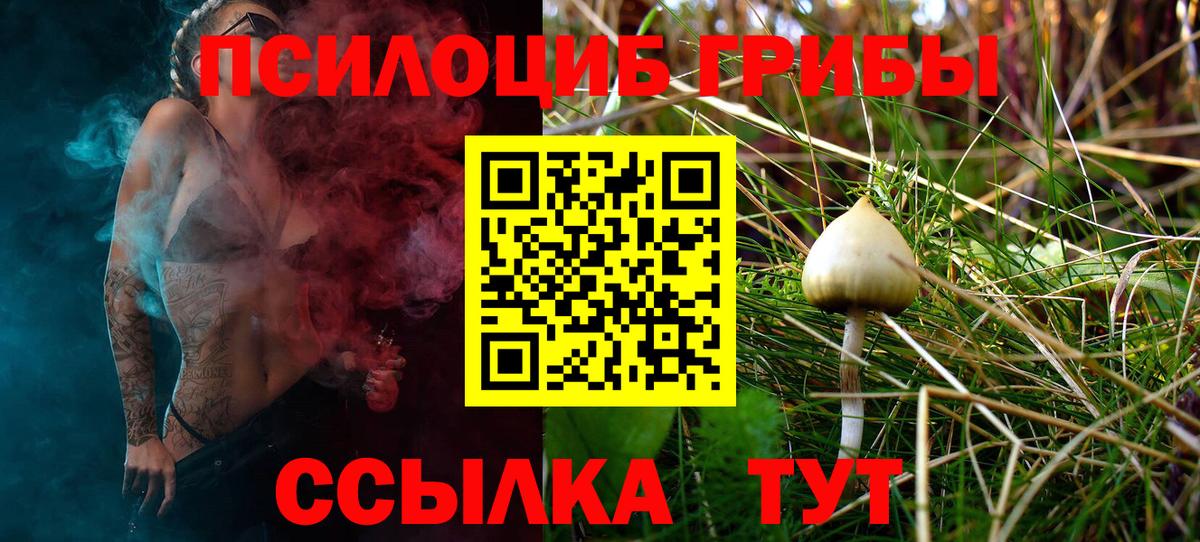 Елабуга  Галлюциногенные грибы GOLDEN TEACHER  Вход с VPN 
