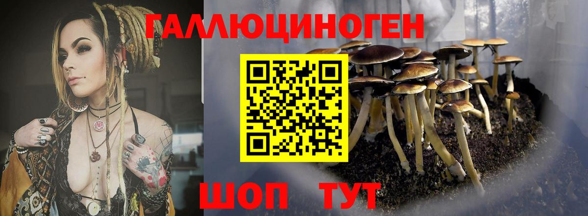 Галлюциногенные грибы мухоморы Елабуга